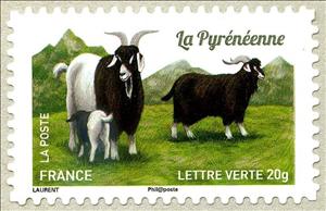 Stamp, Pyrenean Goat (Capra aegagrus hircus), France,  , Goats, Animals (Fauna)