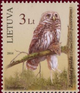 Stamp, Eurasian Pygmy Owl (Glaudicium passerinum), Lithuania,  , Owls