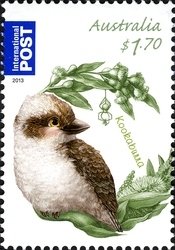 Kookaburra (Dacelo novaeguineae)