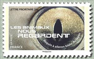Stamp, Whitetip Reef Shark (Triaenodon obesus), France,  