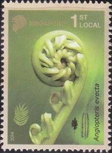 Stamp, Angiopteris evecta, Singapore,  , Plants (Flora)