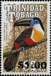 Stamp, Channel-billed Toucan (Ramphastos vitellinus), Trinidad and Tobago,  , Birds