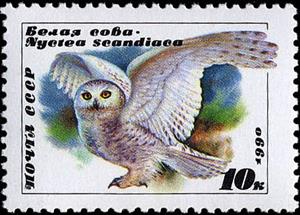 Stamp, Snowy Owl (Bubo scandiacus), Soviet Union, USSR,  , Birds, Owls, Animals (Fauna)