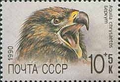 Golden eagle (Aquila chrysaetos)