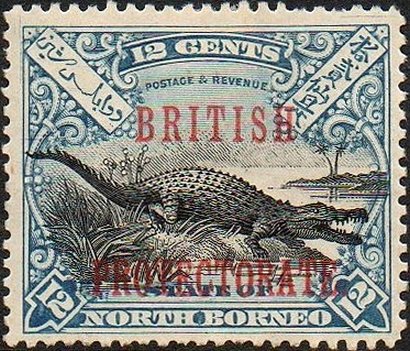 Saltwater Crocodile (Crocodylus porosus)