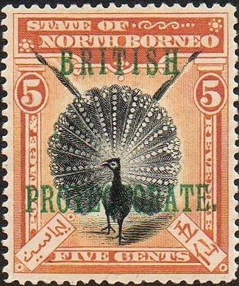 Great Argus Pheasant (Argusianus argus)