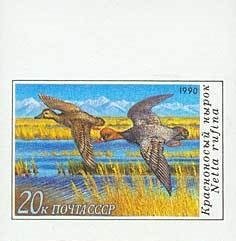 Stamp, Red-crested Pochard (Netta rufina), Soviet Union, USSR,  , Birds, Ducks, Animals (Fauna)