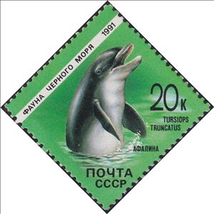 Stamp, Common Bottlenose Dolphin (Tursiops truncatus), Soviet Union, USSR,  , Dolphins