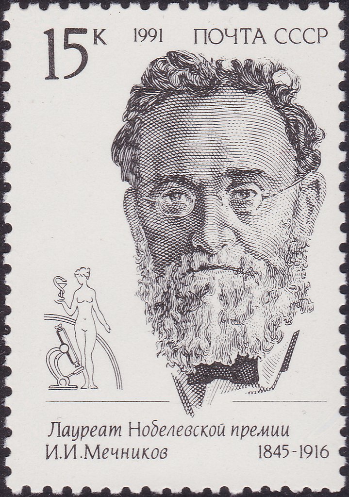 Portrait of I. I. Mechnikov