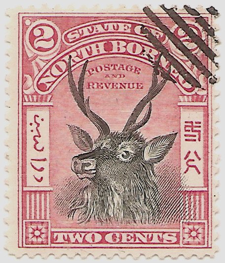 Sambar Deer (Cervus unicolor)