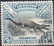 Saltwater Crocodile (Crocodylus porosus)