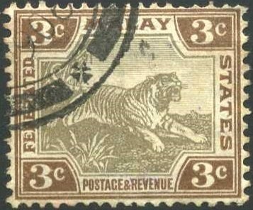 Tiger (Panthera tigris)