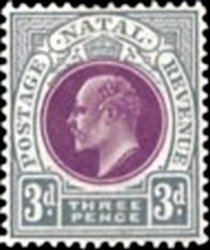King Edward VII