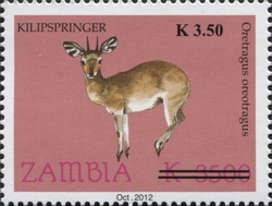 Stamp, Kilipspringer, Zambia,  , Mammals, Fauna