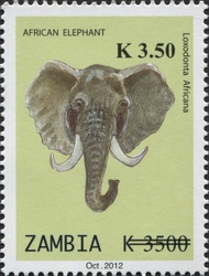 African Elephant