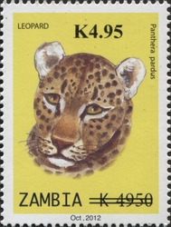 Leopard