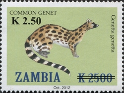 Common Genet