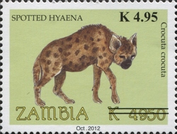 Stamp, Spotted Hyena, Zambia,  , Fauna, Mammals