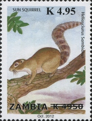 Stamp, Sun Squirrel, Zambia,  , Fauna, Mammals