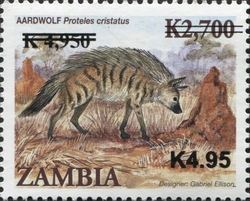Aardwolf