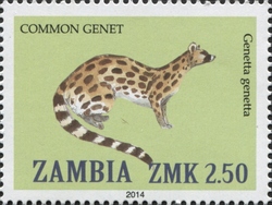 Common Genet