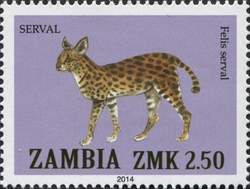 Stamp, Serval, Zambia,  , Cats, Fauna