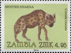Stamp, Spotted Hyaena, Zambia,  , Mammals, Fauna