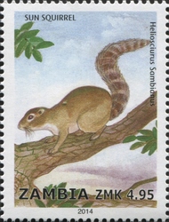 Stamp, Sun Squirrel, Zambia,  , Fauna, Mammals
