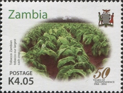 Stamp, 50th Anniversary of Independence of Zambia, Zambia,  , Independence,  Food, Politics and Government, Crops and Farming