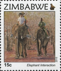 Elephant Interaction