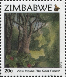 View inside the Rain forest