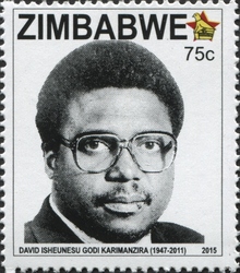 David Isheunesu Godi Karimanzira