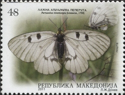 Parnassius mnemosyne