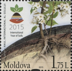 Stamp, 2015 International Year of Soils, Moldova,  , Flora, Environment and Conservation, Trees