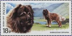 Service Breeds of Dogs