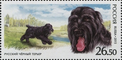 Service Breeds of Dogs
