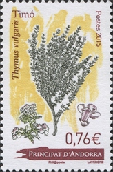 Stamp, Thymus vulgaris, Andorra, French Administration,  , Medicinal plants, Flora