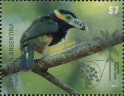 Stamp, Euterpe edulis, Argentina,  , Fauna, Birds