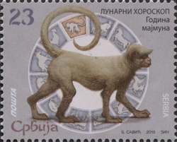Year of the Monkey