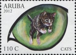 Cats