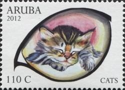 Cats
