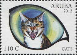 Cats