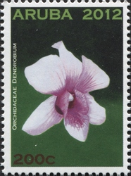 Dendrobium