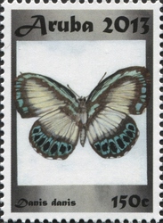Stamp, Danis danis, Aruba,  , Butterflies, Fauna