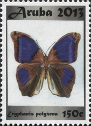 Stamp, Eryphanis polyxena, Aruba,  , Butterflies, Fauna