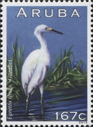 Stamp, Egretta thula, Aruba,  , Fauna, Birds