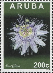 Passiflora