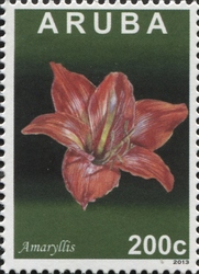 Stamp, Amaryllis, Aruba,  , Flora, Flowers