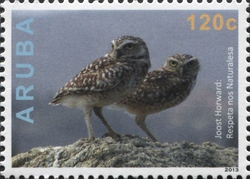 Stamp, Photography, Aruba,  , Fine Arts, Photography, Fauna, Birds