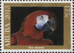 Ara macao